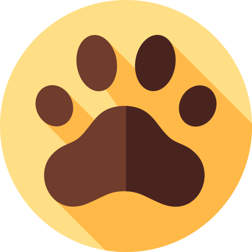 Pata
